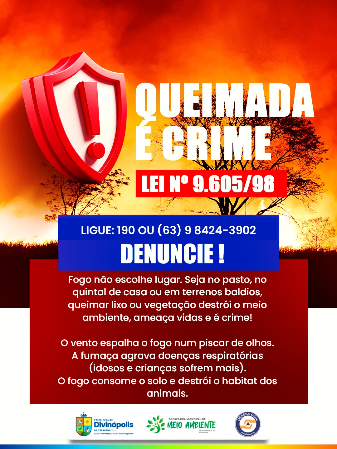 Foto 1 da matéria