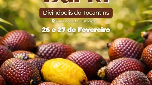 É hoje, 3º Festival do Buruti na Feira Municipal de Divinópolis - TO